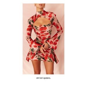 Toira Rose Print Draped Corset Dress